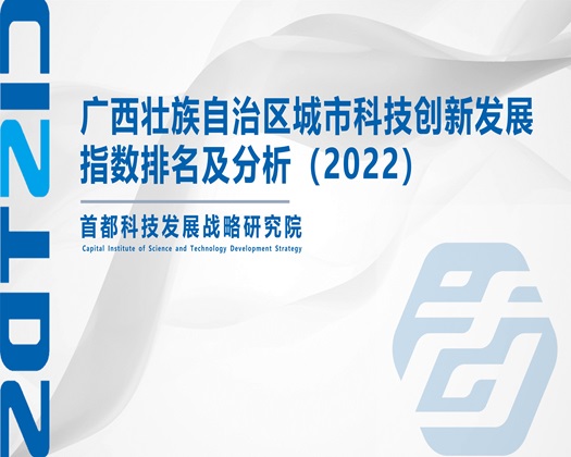 大鸡鸡一区二区【成果发布】广西壮族自治区城市科技创新发展指数排名及分析（2022）